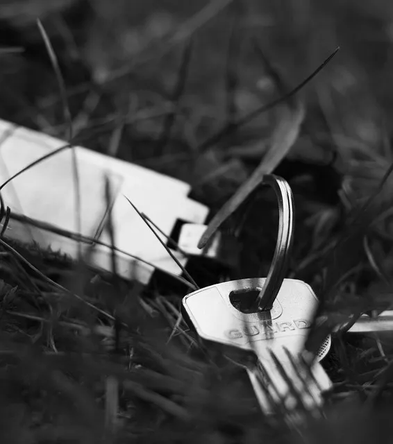 keys, grass, nature, ground, beauty, life, admiration, imagination,
