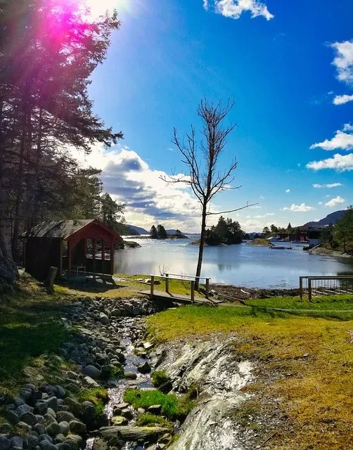 magic, fairytale, lake, trees, reflection, sun, clouds, breathtaking, calm,