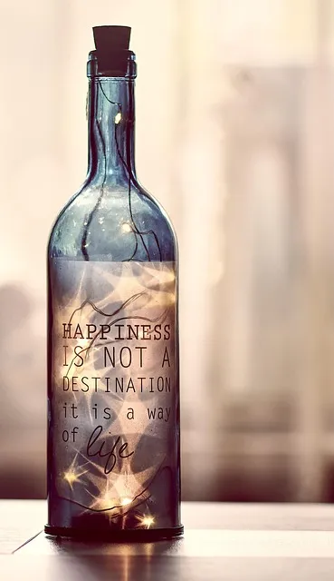 motivation, enjoyment of life, pleasure, courage, positive, emotion, soul,