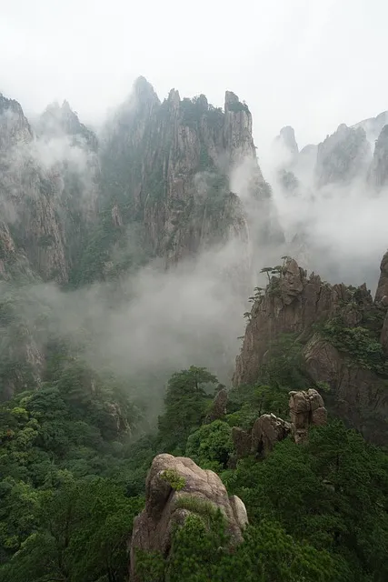 Huangshan mountain range, China, fog and trees — navigating complexity