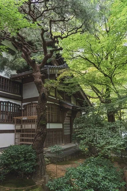 Ryoan-ji zen garden — stillness, order, and the power of empty space
