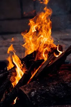 Vivid close-up of roaring firewood flames, capturing the intensity of