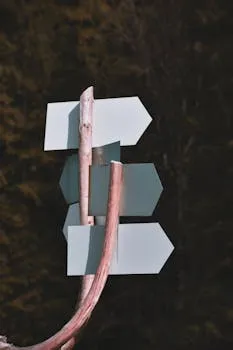 A collection of blank wooden directional signs outdoors in a forest setting.