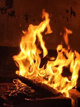 Vibrant fireplace flames