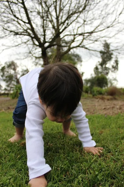 child, nature, boy, toddle, fun, grass, first steps, attempts