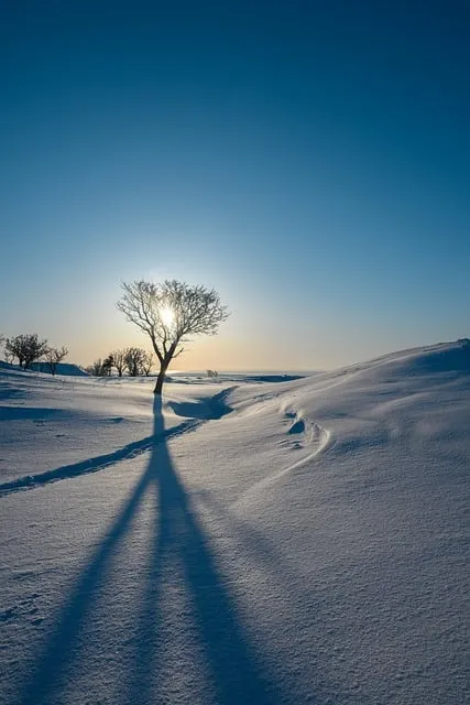 snow winter landscape — cold plunge immersion benefits