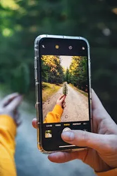 A person photographing a forest scene with a smartphone, highlighting