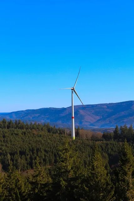 Renewable energy and sustainable systems