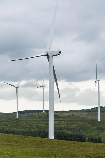 Landscape turbines at dawn