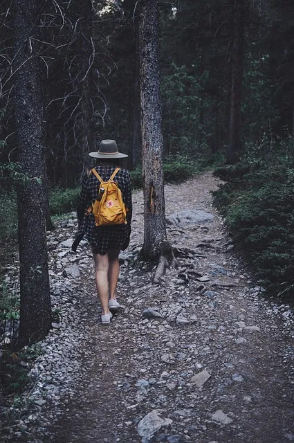 forest, outdoors, path, person, trail, trees, walking, nature, woman