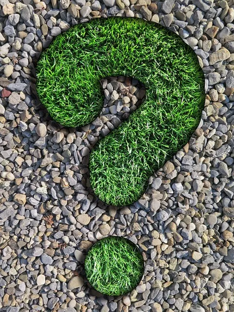 question, mentor, lawn, pebbles, question mark, nature, green, beautiful