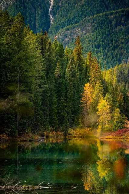 autumn, nature, reflection, lake, forest, woods, peaceful, canada, alberta,