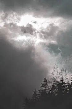 A dramatic display of clouds, light, and forest showcasing a stormy sky.