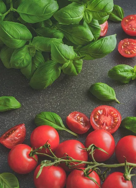 tomatoes, basil, food, tomato, italian, vegetable, healthy, red, vegetarian,