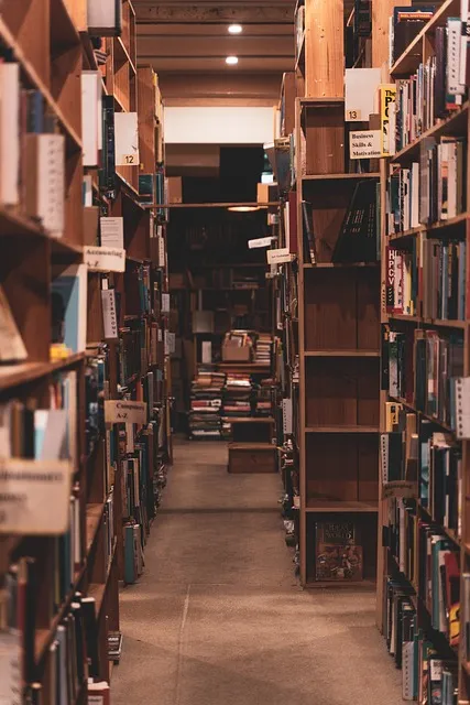 Library shelves with carefully selected reading list