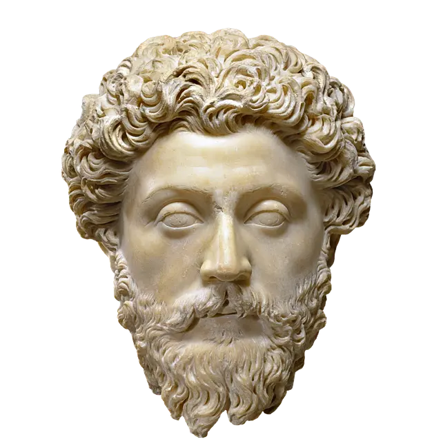 The Daily Stoic Combat Protocol — marcus aurelius bust