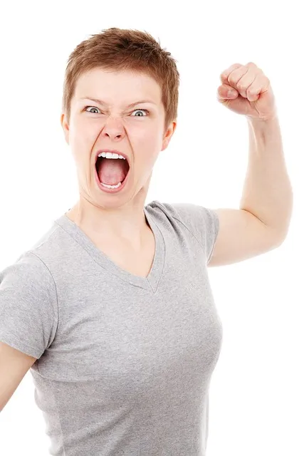 The Controlled Burn Protocol — anger fist rage