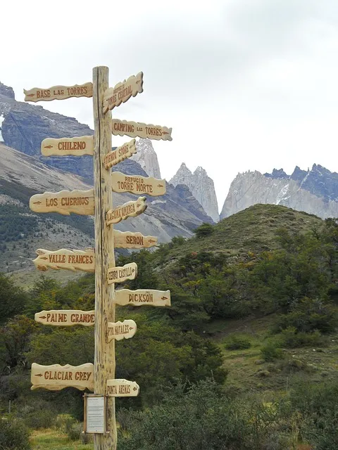 The Purpose Excavation Protocol — direction path choice