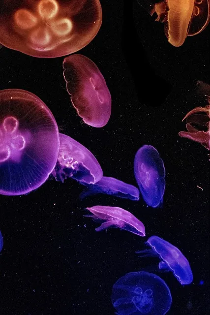 The 90-Day Neural Rewire Protocol — screen glow dark room