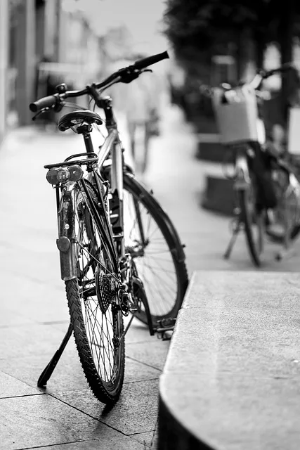 The Abundance Architecture Protocol — breaking cycle freedom