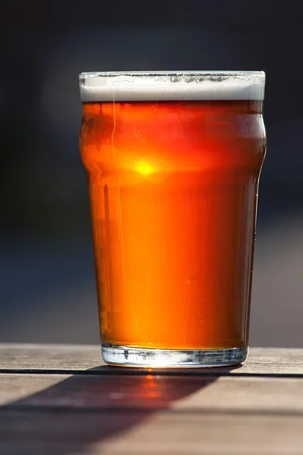 The Sobriety Advantage Protocol — alcohol brain damage