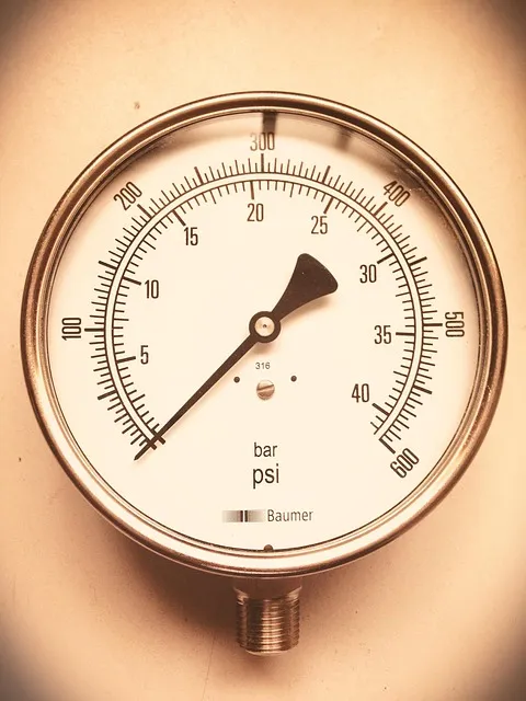 The Sobriety Advantage Protocol — peer pressure group