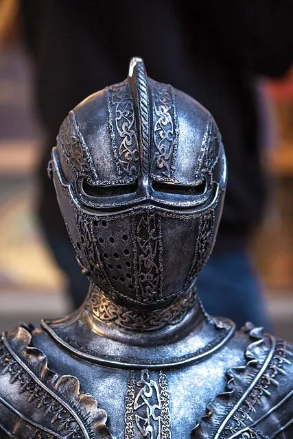 The Identity Reclamation Protocol — boundary protection shield