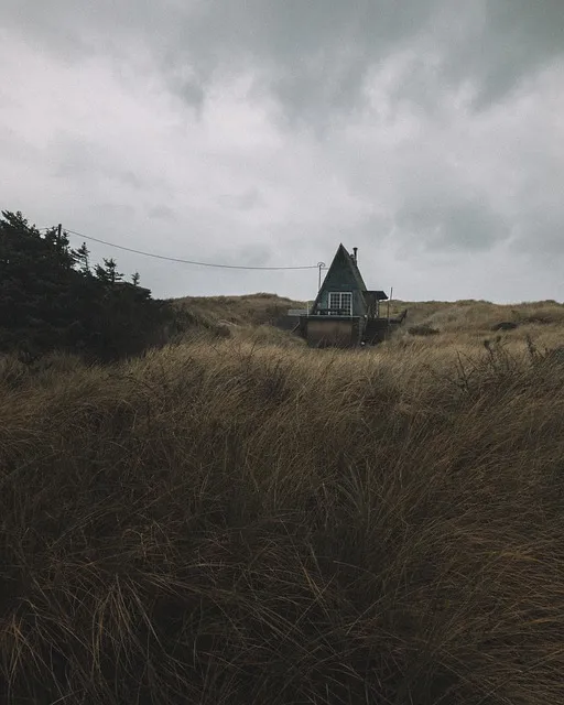 The Hybrid Presence Protocol — home office alone
