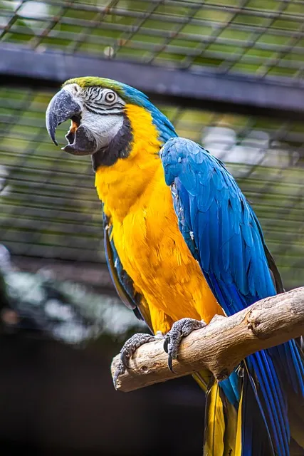 The Agency Restoration Protocol — psychology experiment cage