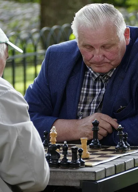 The Decision Audit Protocol — chess strategy thinking