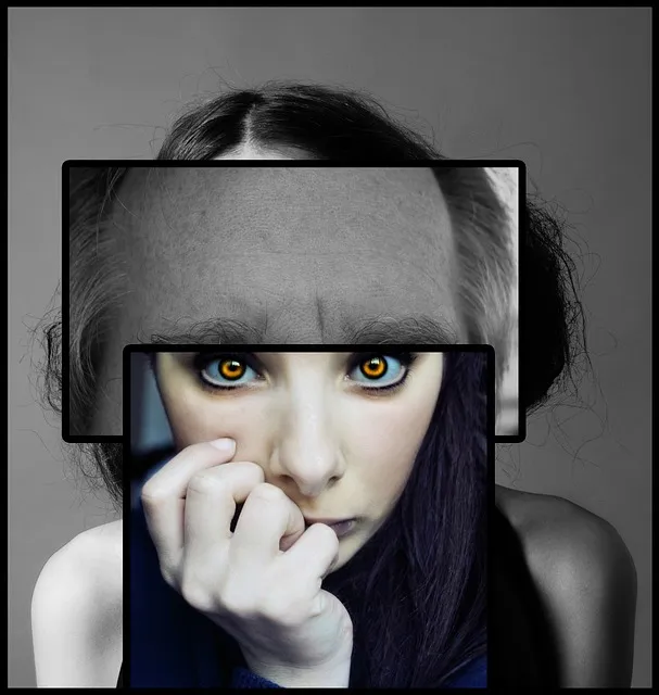 The Decision Audit Protocol — psychology cognitive error