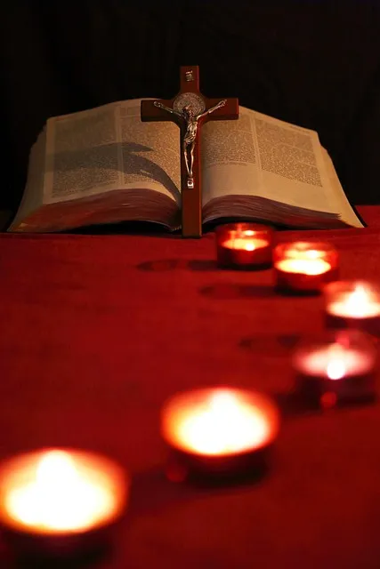 The Shield Protocol — truth clarity light