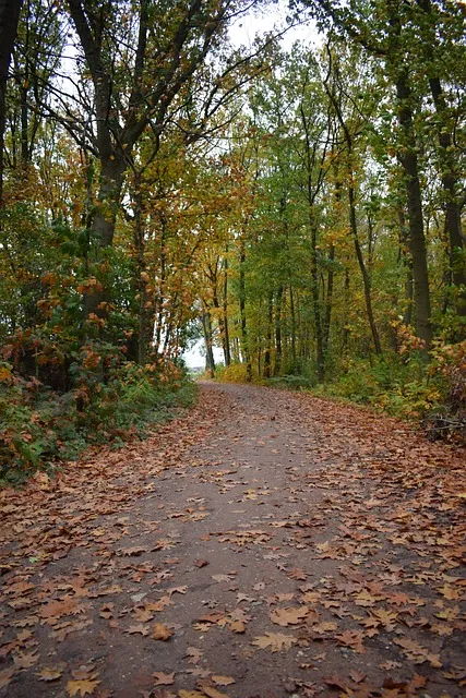 The Exit Calculation Protocol — freedom walking away