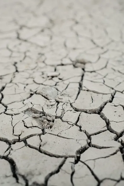 The Adaptive Resilience Protocol — rigid brittle break