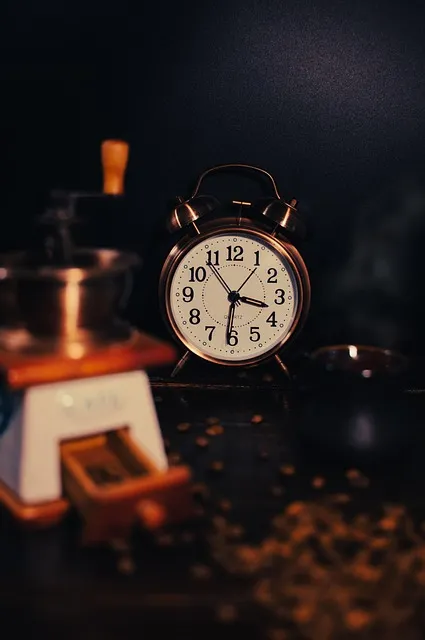 The Life Audit Protocol — monday morning fear