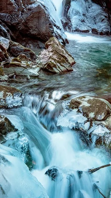 The Priority Protection Protocol — courage assertive clear