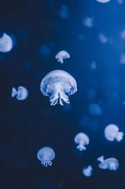 The Friendship Architecture Protocol — meaningful friendship deep