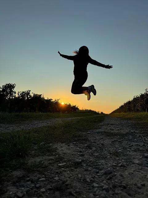 The Career Bridge Protocol — courage leap change