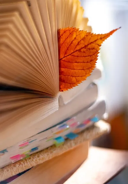 The Career Bridge Protocol — growth second chapter