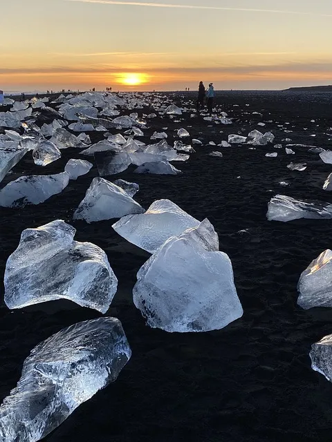The Antifragile Life Protocol — pressure diamond forge