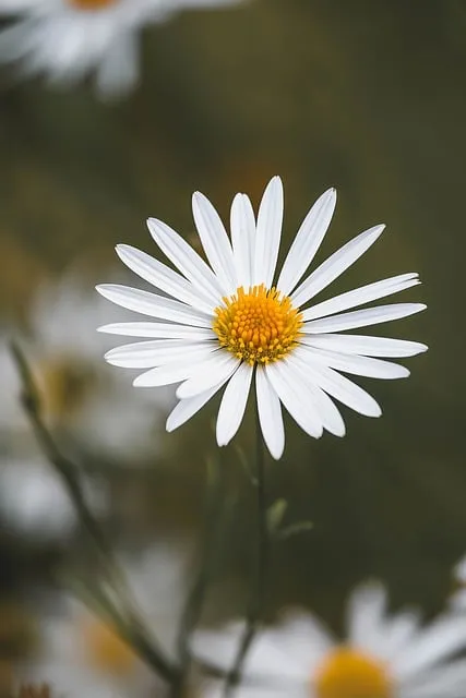 The 72-Hour Stabilization Protocol — mindset growth