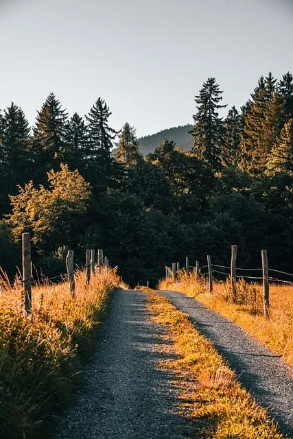 The Consistency Architecture Protocol — nature calm peace