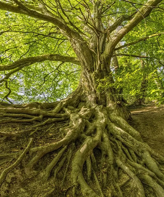 The Work Boundary Protocol — mindset growth