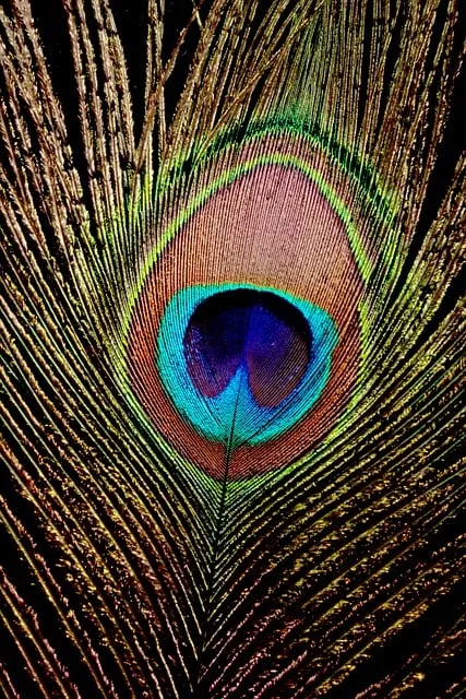 The Relationship Evaluation Protocol — psychology brain patterns