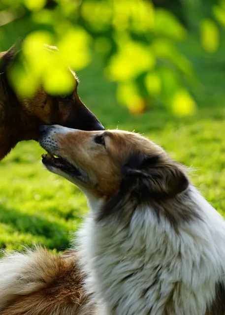 The Respect Restoration Protocol — community brotherhood trust