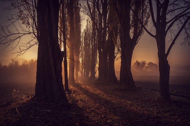 the exit that is not abandonment