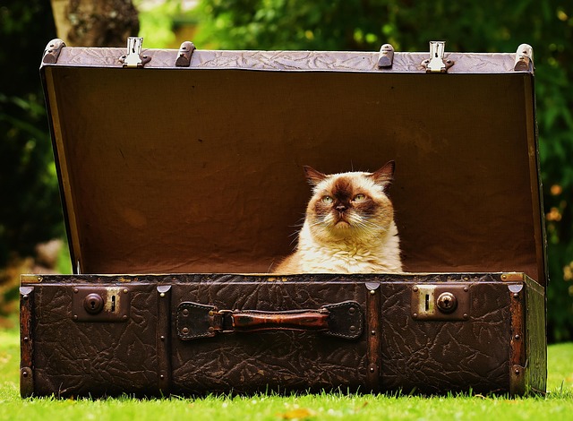 What This Isn't The Case Against Staying Forever