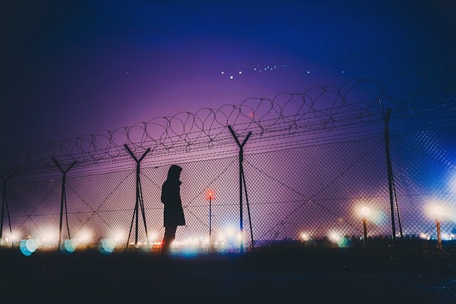 The Mechanism Leadership Is Earned, Not Declared