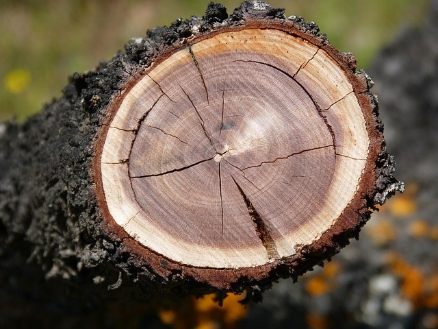 Image conveying resilience within section context