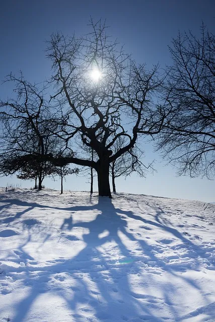 The Solitude of Real Builders: Why the Best Work is Unseen